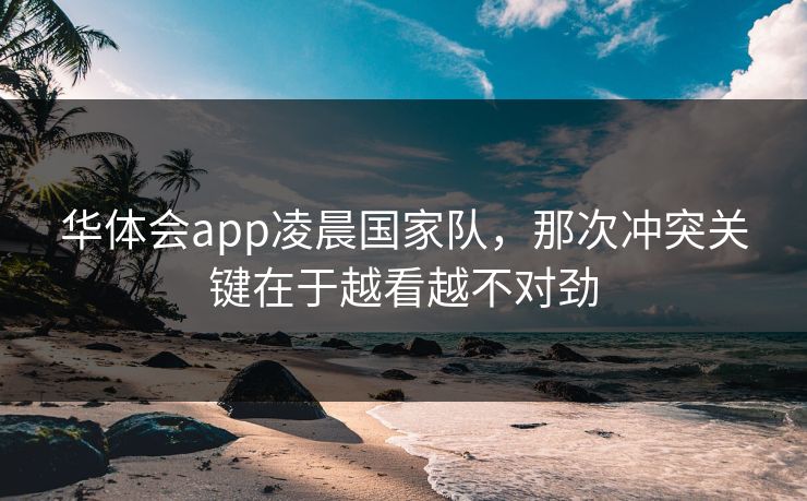 华体会app凌晨国家队，那次冲突关键在于越看越不对劲