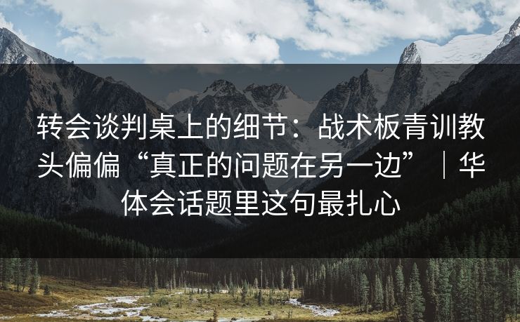转会谈判桌上的细节:战术板青训教头偏偏“真正的问题在另一边”|华体会话题里这句最扎心 转会谈判桌上的细节:战术板青训教头偏偏“真正的问题在另一边”|华体会话题里这句最扎心